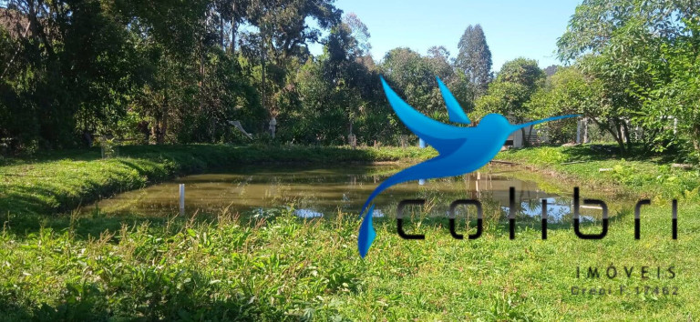 Imagem Chácara com 3 Quartos à Venda, 10.300 m² em Agua Clara - Quitandinha