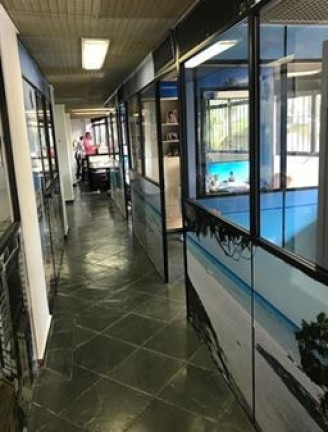 Imagem Imóvel com 10 Quartos à Venda, 354 m² em Chácara Inglesa - São Paulo