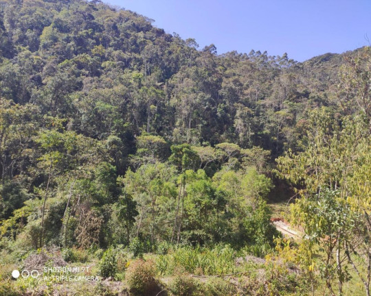 Imagem Imóvel à Venda, 2.500.000 m² em Fazenda Bela Vista - Nova Friburgo Imagem Imóvel à Venda, 2.500.000 m² em Fazenda Bela Vista - Nova Friburgo