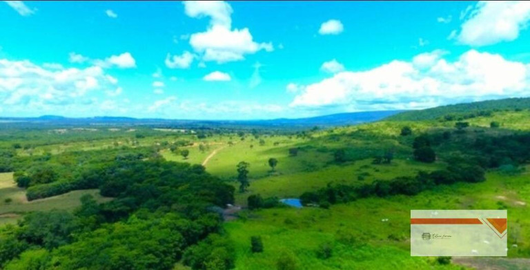 Imagem Fazenda à Venda, 1.035 m² em Rural - Buenópolis Imagem Fazenda à Venda, 1.035 m² em Rural - Buenópolis