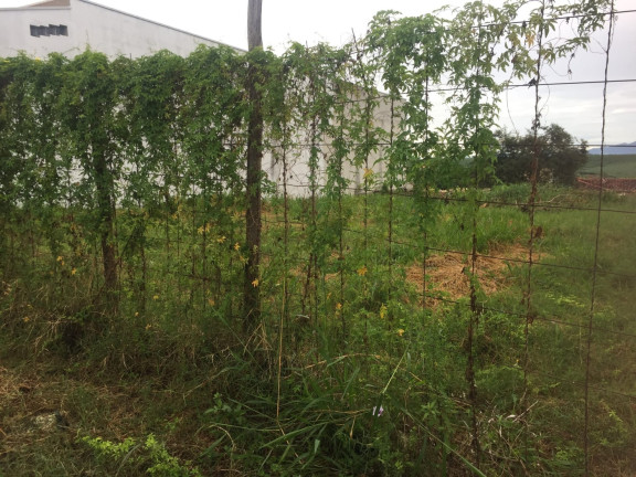 Terreno à Venda, 250 m² em Residencial Mombaça - Pindamonhangaba