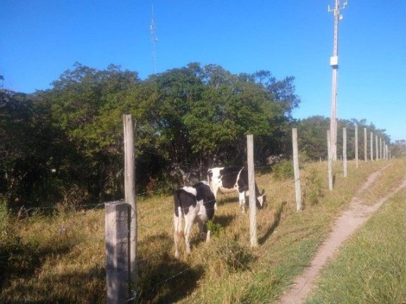 Imagem Terreno à Venda,  em Ressacada - Garopaba