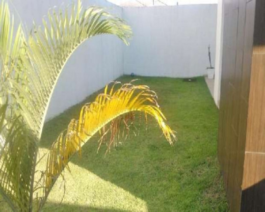 Imagem Casa com 3 Quartos à Venda, 207 m² em Moinhos De Vento - Canoas