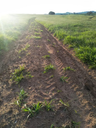 Imagem Chácara à Venda, 45 m² em Rural - Itaberá Imagem Chácara à Venda, 45 m² em Rural - Itaberá