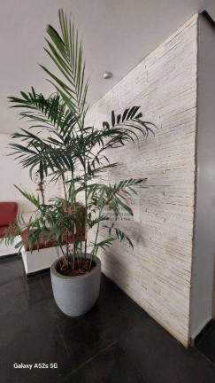 Imagem Apartamento com 1 Quarto à Venda, 44 m² em Aeroporto - São Paulo Imagem Apartamento com 1 Quarto à Venda, 44 m² em Aeroporto - São Paulo