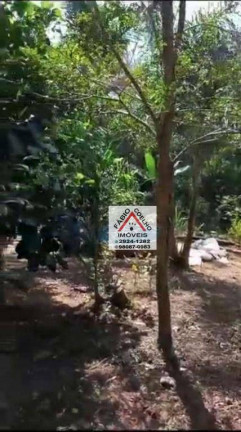 Imagem Chácara com 3 Quartos à Venda, 80 m² em Chácara Califórnia - Embu-guaçu Imagem Chácara com 3 Quartos à Venda, 80 m² em Chácara Califórnia - Embu-guaçu