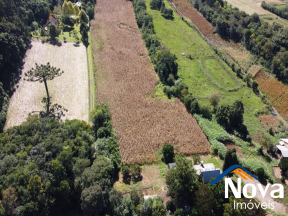 Imagem Imóvel à Venda,  em Linha Araripe - Nova Petrópolis