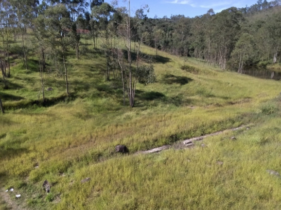 Imagem Terreno à Venda, 320.000 m² em Terra Preta (terra Preta) - Mairiporã