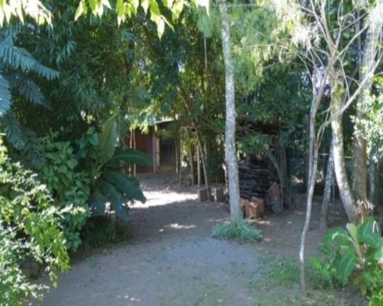Terreno à Venda,  em Vila Germânia - Nova Petrópolis