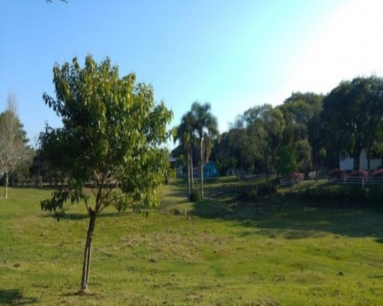 Imagem Imóvel com 2 Quartos à Venda, 110 m² em Fazenda Pirajá - Nova Petrópolis