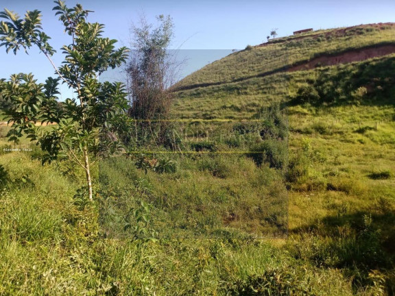 Imagem Terreno à Venda, 8.000 m² em Pouso Alto - Natividade Da Serra Imagem Terreno à Venda, 8.000 m² em Pouso Alto - Natividade Da Serra