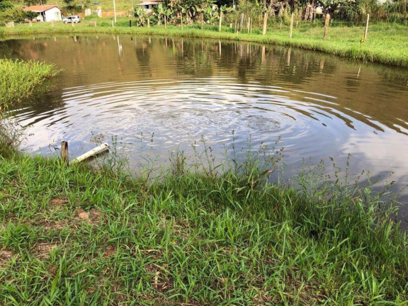 Imagem Chácara com 3 Quartos à Venda, 100 m² em Centro - Guaratinguetá Imagem Chácara com 3 Quartos à Venda, 100 m² em Centro - Guaratinguetá