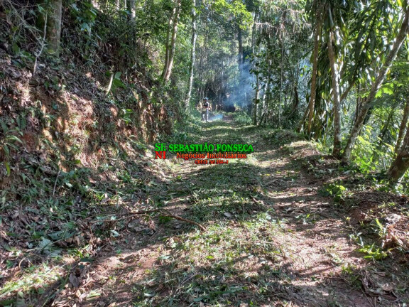 Imagem Chácara à Venda, 30.000 m² em Centro - Monteiro Lobato Imagem Chácara à Venda, 30.000 m² em Centro - Monteiro Lobato