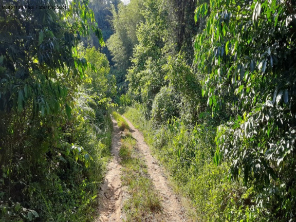 Imagem Terreno à Venda, em Bavaria - Nova Petrópolis Imagem Terreno à Venda, em Bavaria - Nova Petrópolis