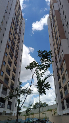 Imagem Apartamento com 2 Quartos à Venda, em Vera Tereza - Caieiras Imagem Apartamento com 2 Quartos à Venda, em Vera Tereza - Caieiras