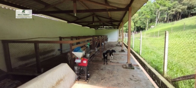 Imagem Chácara com 3 Quartos à Venda, 20.000 m² em Sorocamirim (canguera) - São Roque Imagem Chácara com 3 Quartos à Venda, 20.000 m² em Sorocamirim (canguera) - São Roque