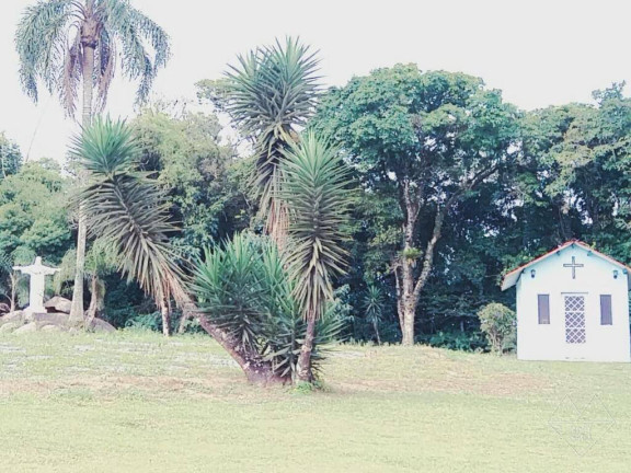Imagem Chácara com 3 Quartos à Venda, 3 m² em Piedade