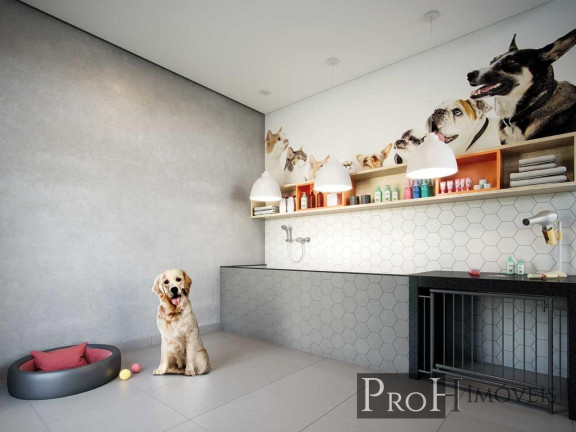 Imagem Apartamento com 2 Quartos à Venda, 63 m² em Ipiranga - São Paulo