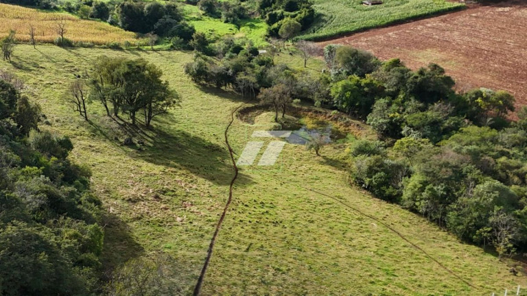 Fazenda à Venda,  em Cancelli - Cascavel