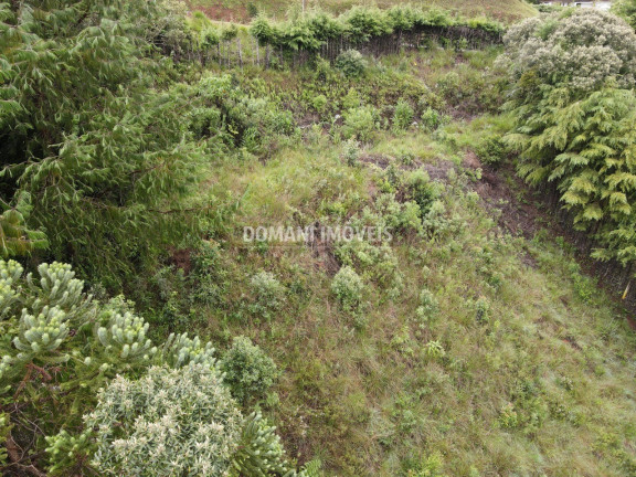 Imagem Imóvel à Venda, 1.500 m² em Região De Descansópolis - Campos Do Jordão Imagem Imóvel à Venda, 1.500 m² em Região De Descansópolis - Campos Do Jordão