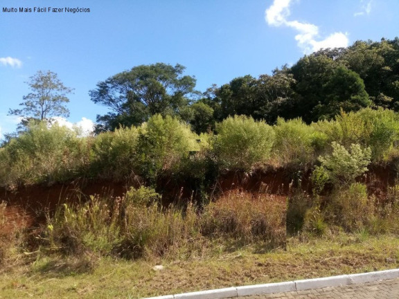Imagem Terreno à Venda, 570 m² em Piá - Nova Petrópolis Imagem Terreno à Venda, 570 m² em Piá - Nova Petrópolis