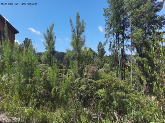 Terreno à Venda, 405 m² em Linha Imperial - Nova Petrópolis