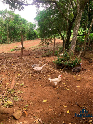 Imagem Imóvel à Venda, 24.000 m² em Zona Rural - Marques De Souza Imagem Imóvel à Venda, 24.000 m² em Zona Rural - Marques De Souza