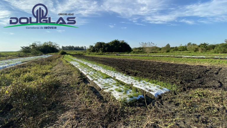 Imagem Chácara à Venda, em águas Claras - Viamão Imagem Chácara à Venda, em águas Claras - Viamão