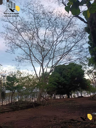 Imagem Chácara com 1 Quarto à Venda, 3.000 m² em Uberlândia