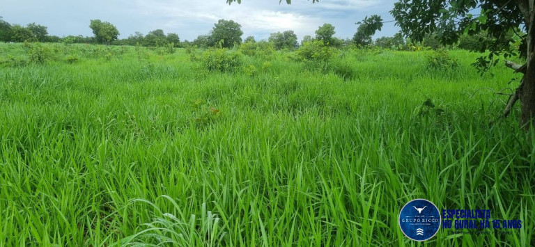 Imagem Fazenda à Venda, 30 m² em Setor Central - Crixás Imagem Fazenda à Venda, 30 m² em Setor Central - Crixás