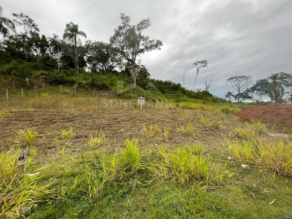 Imagem Terreno à Venda, 200 m² em Sertão Do Maruim - São José Imagem Terreno à Venda, 200 m² em Sertão Do Maruim - São José
