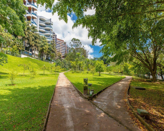 Imagem Imóvel com 3 Quartos à Venda, 256 m² em Panamby - São Paulo