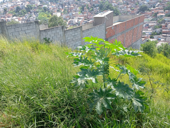 Imagem Terreno à Venda, 125 m² em Jardim Araruama - Cotia Imagem Terreno à Venda, 125 m² em Jardim Araruama - Cotia