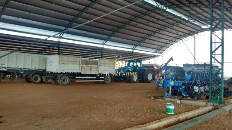 Imagem Imóvel com 3 Quartos à Venda, 40.000 m² em Capelinha - Conceição Do Araguaia Imagem Imóvel com 3 Quartos à Venda, 40.000 m² em Capelinha - Conceição Do Araguaia