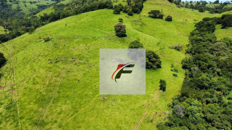 Fazenda à Venda, 411.400 m² em Zona Rural - Palmital