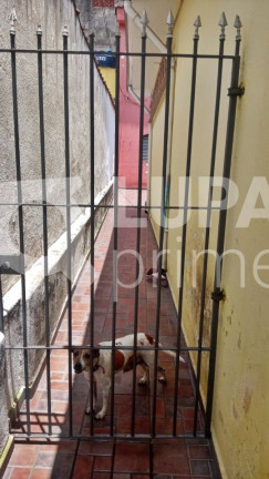 Imagem Casa com 4 Quartos à Venda, 160 m² em Vila Medeiros - São Paulo Imagem Casa com 4 Quartos à Venda, 160 m² em Vila Medeiros - São Paulo