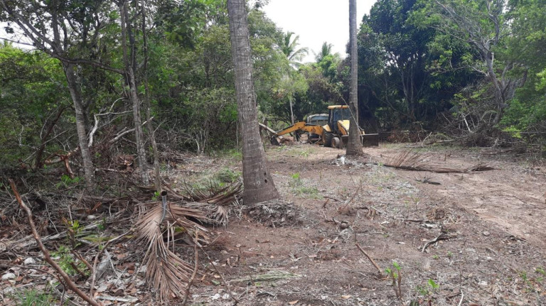 Imagem Terreno à Venda, 300 m² em Barra Do Pojuca (monte Gordo) - Camaçari