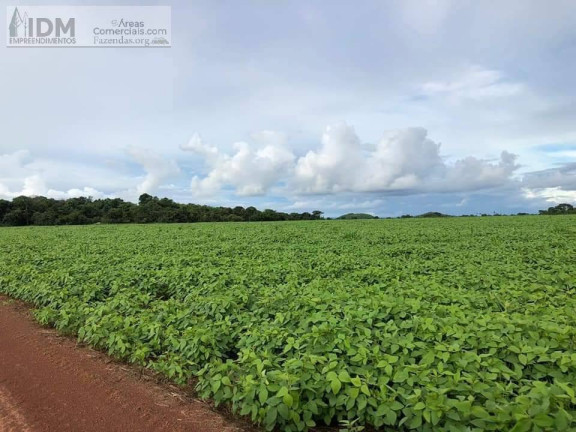 Imagem Chácara à Venda, 390.000.000 m² em Rural - Santa Terezinha Imagem Chácara à Venda, 390.000.000 m² em Rural - Santa Terezinha