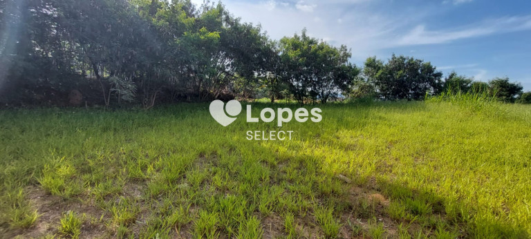Imagem Terreno à Venda, 1.000 m² em Vila Omízollo - Louveira