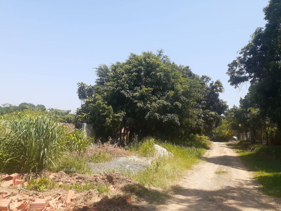 Imagem Chácara com 3 Quartos à Venda, 4.454 m² em Bom Retiro - Porto Feliz