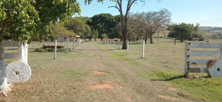 Fazenda à Venda, 726 m² em Vila Tazitsu - Presidente Prudente