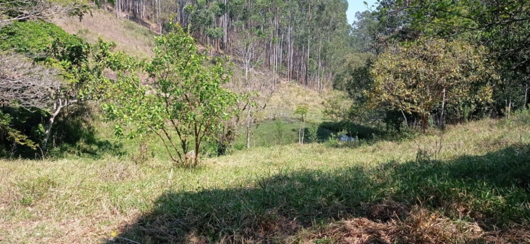 Imagem Chácara com 1 Quarto à Venda, 100 m² em Centro - Santa Branca Imagem Chácara com 1 Quarto à Venda, 100 m² em Centro - Santa Branca