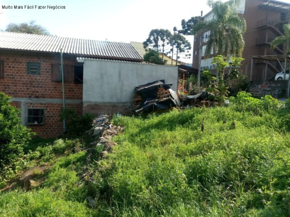 Imagem Terreno à Venda, 551 m² em Centro - Nova Petrópolis Imagem Terreno à Venda, 551 m² em Centro - Nova Petrópolis