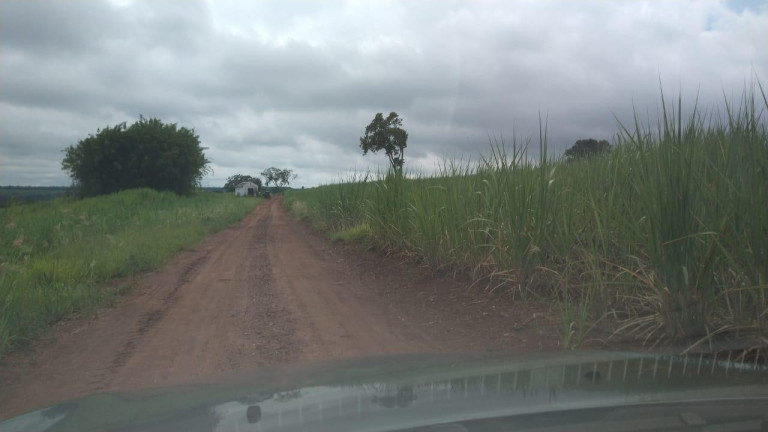 Imagem Fazenda à Venda, 42 m² em Rural - Avaré Imagem Fazenda à Venda, 42 m² em Rural - Avaré