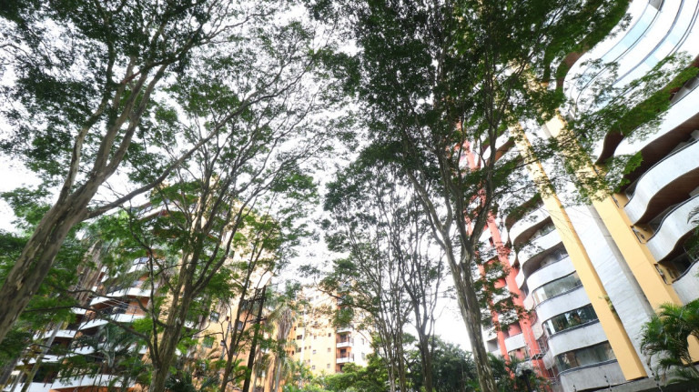 Imagem Apartamento com 3 Quartos à Venda, 160 m² em Vila Andrade - São Paulo Imagem Apartamento com 3 Quartos à Venda, 160 m² em Vila Andrade - São Paulo