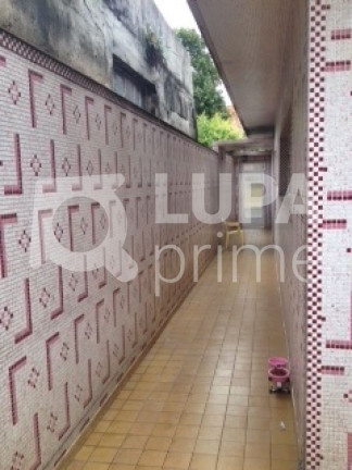 Imagem Casa com 3 Quartos à Venda, 280 m² em Vila Maria - São Paulo Imagem Casa com 3 Quartos à Venda, 280 m² em Vila Maria - São Paulo