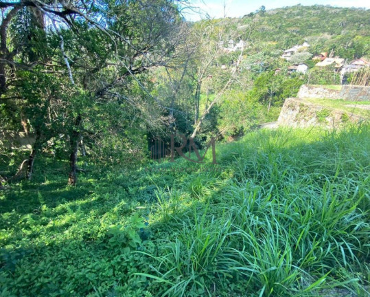 Imagem Terreno à Venda, 775 m² em Córrego Grande - Florianópolis Imagem Terreno à Venda, 775 m² em Córrego Grande - Florianópolis