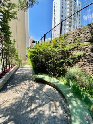 Imagem Imóvel com 3 Quartos à Venda, 222 m² em Jardim Ampliação - São Paulo Imagem Imóvel com 3 Quartos à Venda, 222 m² em Jardim Ampliação - São Paulo