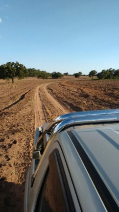 Fazenda à Venda, 29.935.400 m² em Centro - Ponte Alta Do Bom Jesus