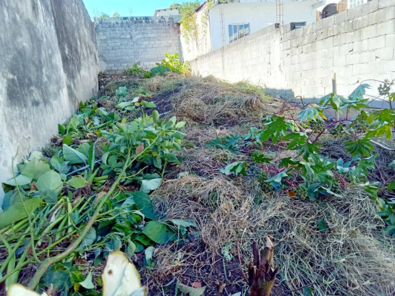 Terreno à Venda, 200 m² em Riviera Paulista - São Paulo